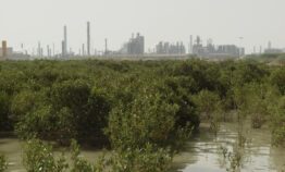 پتروشیمی مارون، حامی نهضت سبز