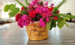 به مناسبت هفته ملی مهارت ؛ گفتگو با مربی با سابقه فنی و حرفه ای شهرستان باغملک و هنر آموزانی که اکنون کارآفرین هستند